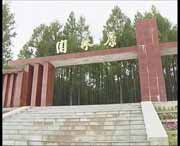 新林天气预报30天