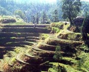 桂东天气预报30天