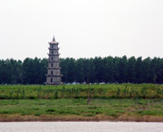 沅江天气预报7天