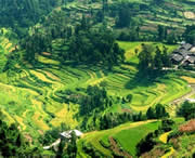 思南天气预报30天