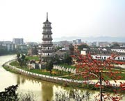 罗定天气预报7天